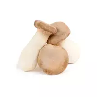 皇家牡蛎蘑菇...